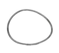 Euroricambi 95531699 Paraolio, Flangia cambio manuale