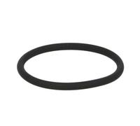 Euroricambi 95532570 Paraolio, Flangia cambio manuale