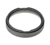 Euroricambi 95533565 Guarnizione, Cambio manuale