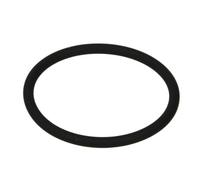 Euroricambi 95534396 Paraolio, Flangia cambio manuale