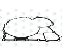 Euroricambi 95534640 Guarnizione, Cambio manuale