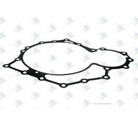 Euroricambi 95535934 Guarnizione, Cambio manuale