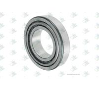 Euroricambi 98530767 Supporto, Cambio manuale