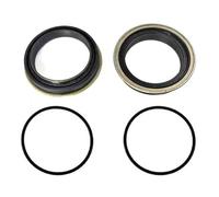 Eurowagens 77011335237N Paraurti Assale Posteriore Ford F250 F350