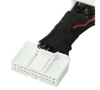 Eurowagens 990122653N Ambient Light Plug Perdita Cavo Lossless Interno