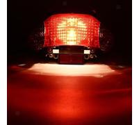 Eurowagens Indicatore Posteriore Tail Light Lampada Piastra