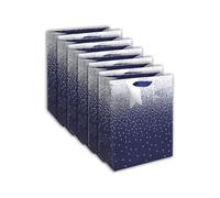 Eurowrap - 30861-2Cpack - Pack 6 sacchetti regalo per adulti 26,5x14x33cm