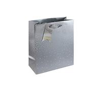 Eurowrap - 30864-3Cpack - Pack 6 sacchetti regalo per adulti 21,5x10,2x25
