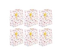 Eurowrap - 32469-3Cpack - Pack 6 sacchetti regalo per compleanno 21,5x10