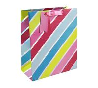 Eurowrap 35489-2C - Rayures pastels, sac large 26,5x14x33 cm - PAQ DE 6