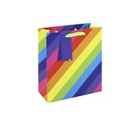 Eurowrap 37007-3C - Rayures arc-en-ciel sac moyen 21,5x10,2x25,3 cm - Paq de 6