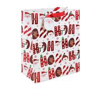 Eurowrap X-34139-2C, Set da 12 Sacchetti Excellia, 26,5x14x33 cm, Regali