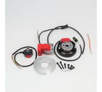 EV2.01.25 ACCENSIONE A ROTORE INTERNO ITALKIT APRILIA RX-RS 125 ROTAX 123