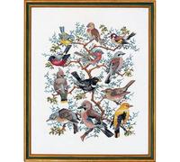 Eva Rosenstand Set punto croce albero con disegno di conteggio uccelli