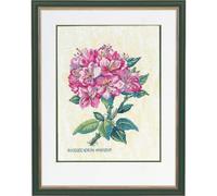 Eva Rosenstand Set punto croce rododendro rosa