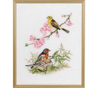 Eva Rosenstand Set punto croce uccelli II