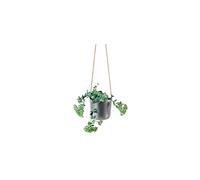 EVA SOLO Appeso Vaso autoirrigante, Nordic Grey