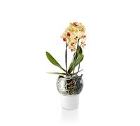 Eva Solo Vaso per orchidee, con sistema di irrigazione automatico, in vetro/nylon, Ø 15 cm