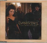 EVANESCENCE - CALL ME WHEN YOU'RE..