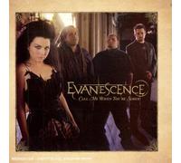 Evanescence - Call Me When You're Sober