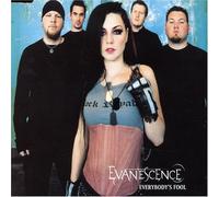 Evanescence - Everybody's Fool