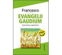 Evangelii gaudium. Esortazione apostolica