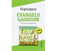 Evangelii gaudium. Esortazione apostolica