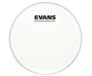 Evans 08" UV1 Coated Tom