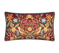 Evans Lichfield Hawthorn Ciniglia Uccelli Federa (RV3325)