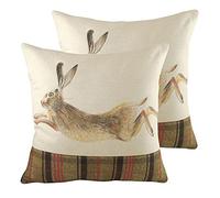 Evans Lichfield Hunter Che Salta Le Lepre Cuscini riempiti di Piume, Multi, 43 x 43cm, 2 unità