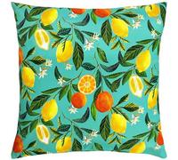 Evans Lichfield Orange Blossom Quadrato Copricuscino da Esterno (RV2477)