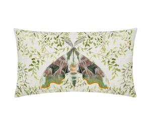 Evans Lichfield Shugborough Traditional Falena Federa (RV3452)