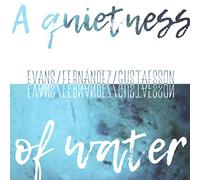 Evans,Peter - Peter Evans & Agusti Fernandez & Mats Gustafsson: A Quitness Of Water
