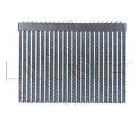 Evaporatore climatizzazione 36099 NRF per PEUGEOT CITROËN