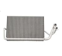 Evaporatore climatizzazione NRF 36121 per MERCEDES-BENZ CLS (C219) 3 2008-2010