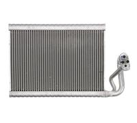 Evaporatore del climatizzatore per C (C204), C T-MODEL (S204), C (W204), CLS