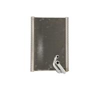 DENSO DEV21003 Evaporatore climatizzatore