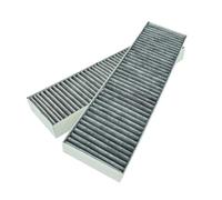 EVAYP 2x Filtro a Carbone Attivo Compatibile con Beko Grundig Arcelik 165265001 Cappe da cucina