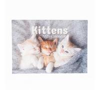 Evelay Calendario 2026, formato A4, visualizzazione mensile, formato A3, da appendere, da appendere alla parete, per casa, ufficio (gattino)