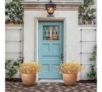 Evember Fiori Secchi per Vaso,Mazzi di Fiori Secchi - Decorazione Artificiale Realistica per Giardino Portico Matrimonio Balcone Porta d'Ingresso Fotografia