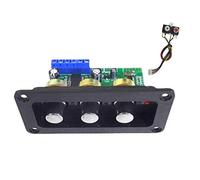 Evenden Power Audio Board Bluetooth 5.0 30 W Mono palcoscenico Power Amplificatore Board, U Disk Decoder con AUX