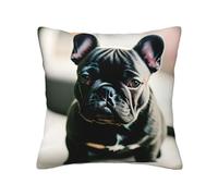 Evengigy Adorabile federa per cuscino con stampa di bulldog francese, federa per cuscino quadrata, 45,5 x 45,5 cm