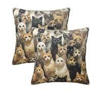 Evengigy Confezione da 2 federe per cuscino con stampa di gatti, quadrate, 40 x 40 cm