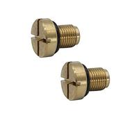 EVER STORE 17111712788 - Vite di spurgo refrigerante compatibile per E46 E92 E90 E36 E39 e Mini Cooper