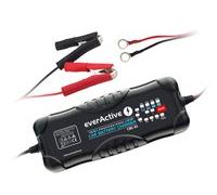 everActive CBC-10 12-24 V 10 A VRLA AGM VLA SLA WET GEL LEAD ACID 10 Ah 300 Ah