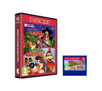 Evercade Banjo-Kazoiie Double Pack