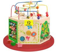 EverEarth 7 in 1 Grande Centro Giochi per Il Giardino EE33285 Anello di abilità motoria per Bambini dai 12 Mesi in su