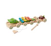 EverEarth Music Train EE33677 Giocattolo Musicale in Legno per Bambini dai 18 Mesi in su