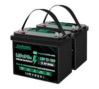 EverExceed Batteria Litio 12V 100Ah con BMS integrato da 100A, Batteria Lifepo4 1280Wh con Protezione da Basse Temperature, Perfetta per Yacht, imbarcazioni, barche, 2 Pack