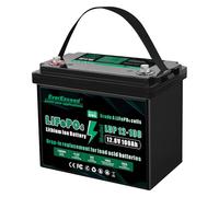 EverExceed Batteria Litio 12V 100Ah con BMS integrato da 100A, Batteria Lifepo4 1280Wh con Protezione da Basse Temperature, Perfetta per Yacht, imbarcazioni, barche